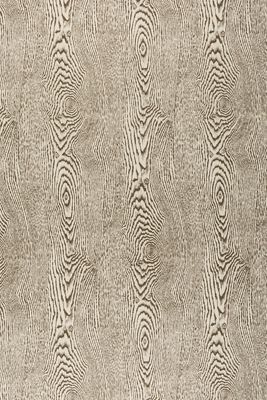 Wood Bark Nature Wallpaper