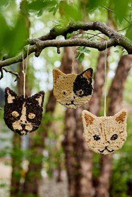 Bird Seed Cat at Terrain