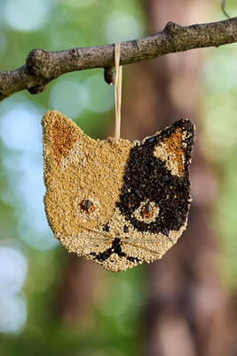Bird Seed Cat at Terrain