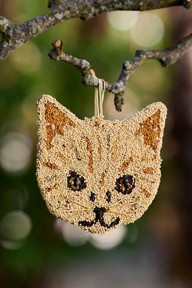 Bird Seed Cat #3