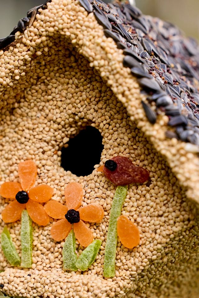 Fruit + Seed Bird House #1
