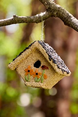 Fruit + Seed Bird House