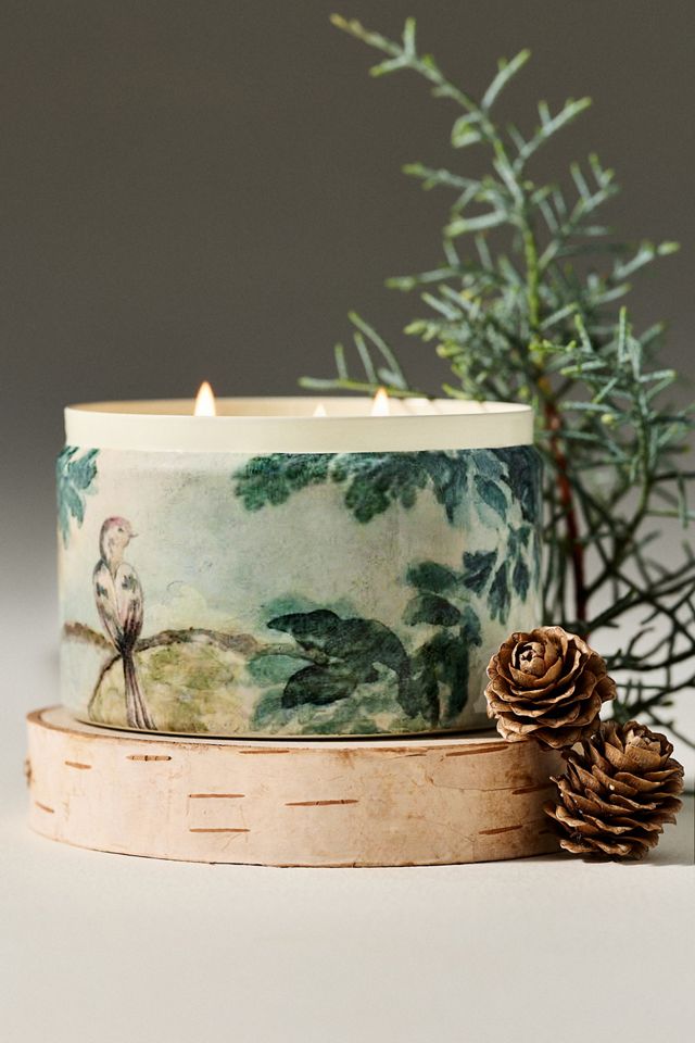 Judarn Tapestry Woody Frosted Garland Tinned Candle #1