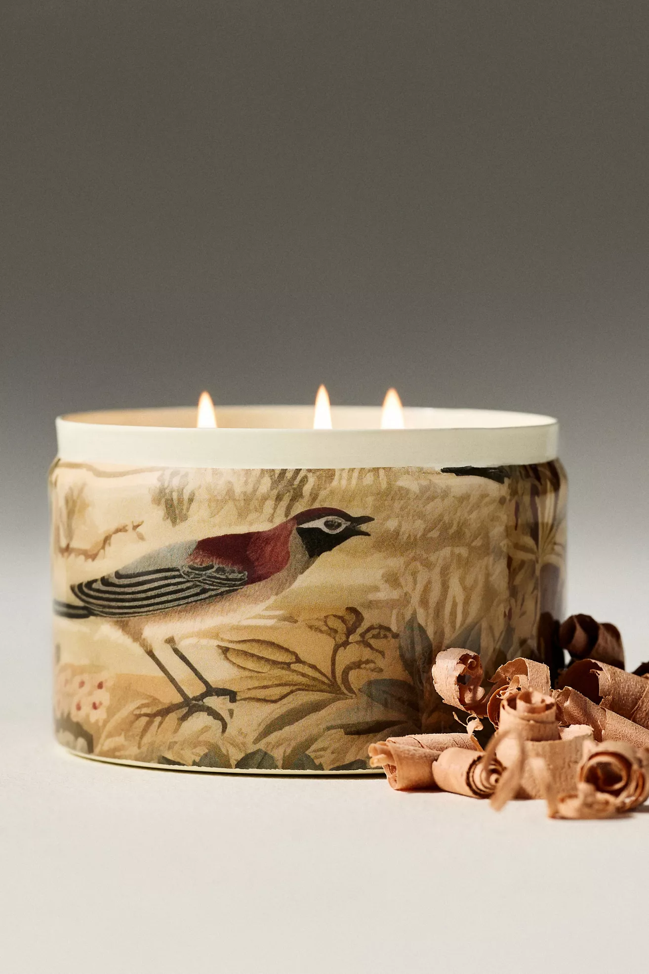 Francios Tapestry Woody White Pine & Cashmere Tinned Candle