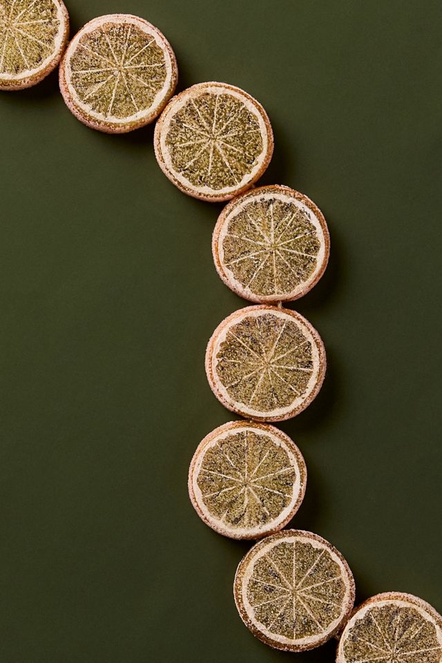Sugared Orange Slice Garland #1