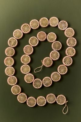 Sugared Orange Slice Garland