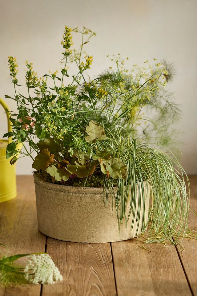 Earth Fired Clay Cylinder Bowl Planter #1