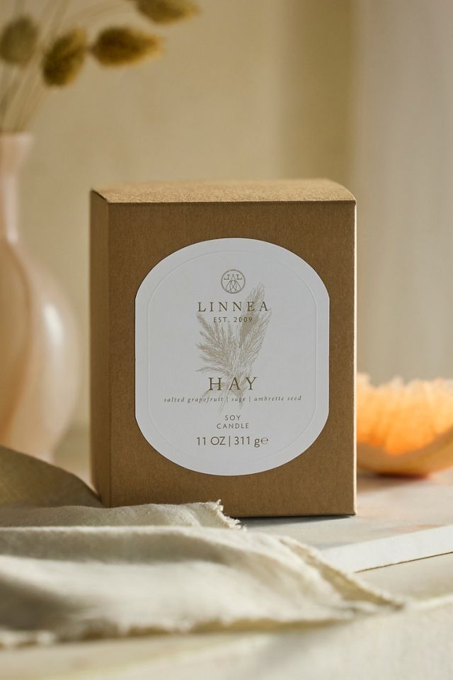 Linnea Candle, Hay #1