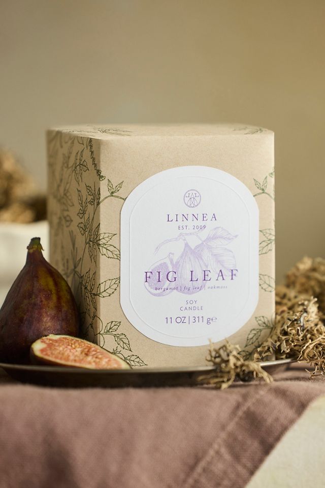 Linnea Candle, Fig Leaf #1