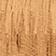 Light Wood