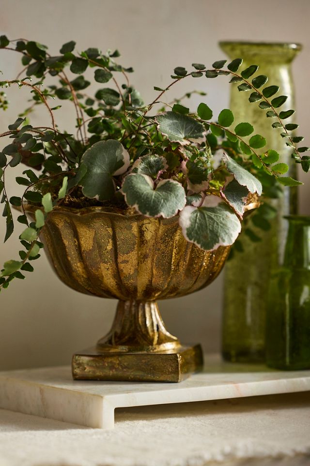 Golden Ruffle Rim Urn Planter #1