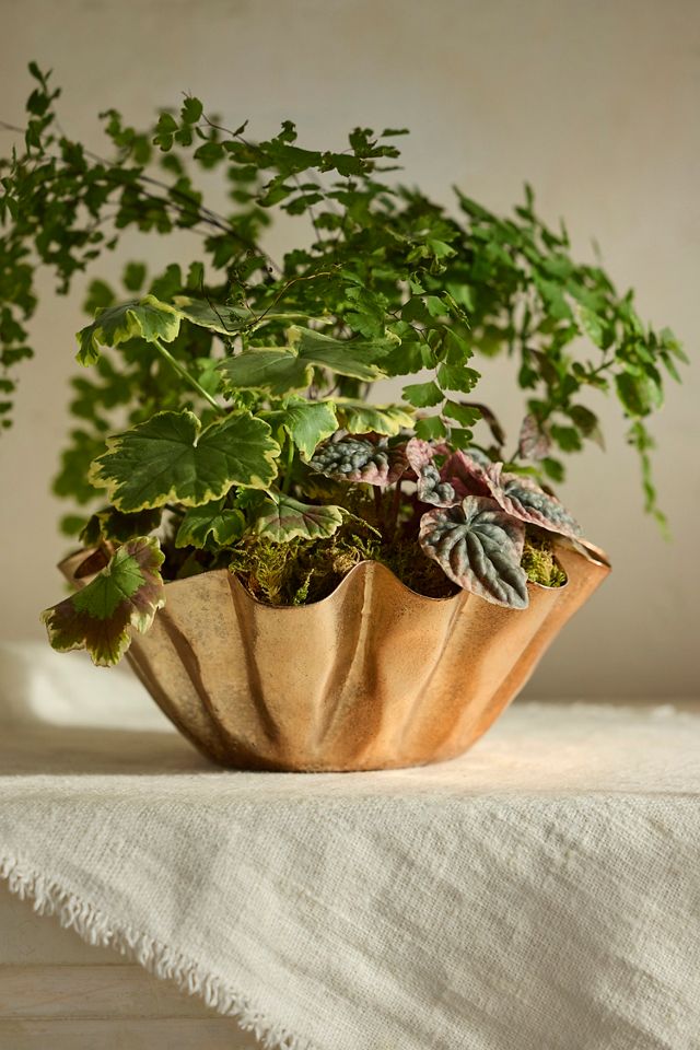 Metallic Ruffle Handkerchief Planter #1