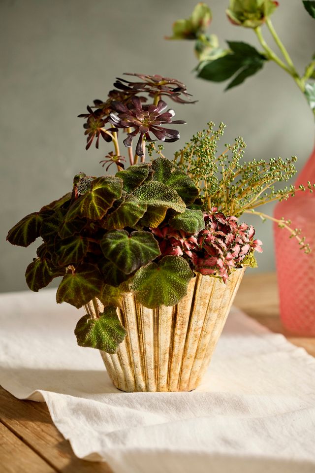 Golden Ruffle Bowl Planter #2