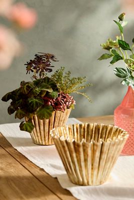 Golden Ruffle Bowl Planter