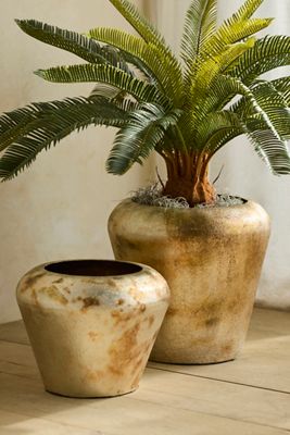 Golden Round Shoulder Taper Planter