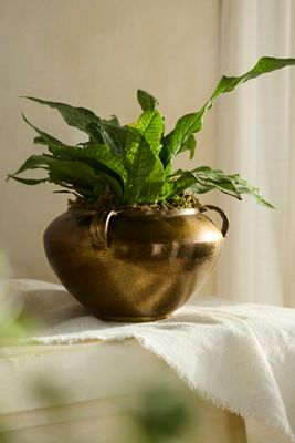 Triple Handle Metallic Jar Planter