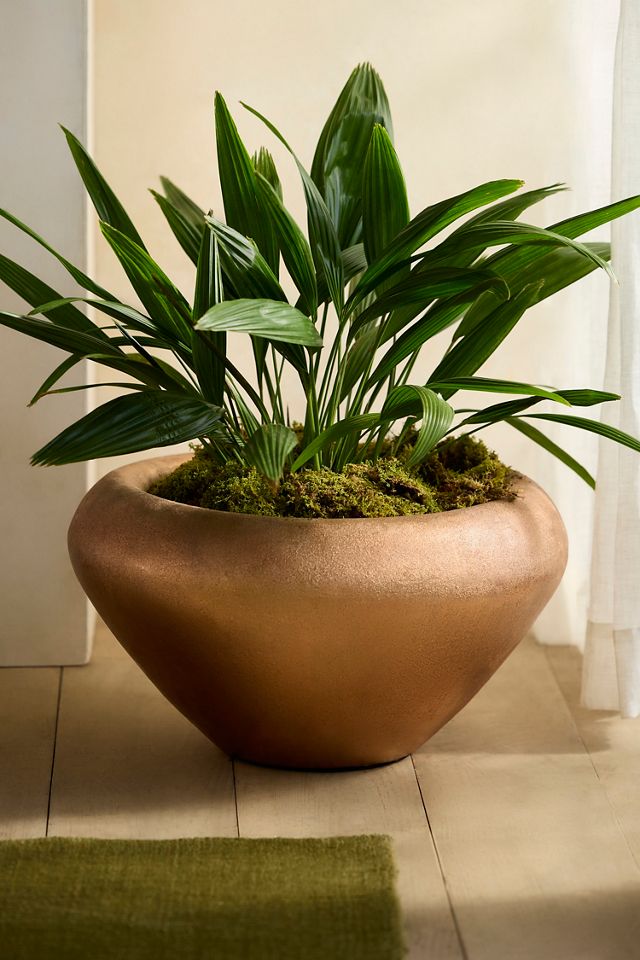 Textured Copper Low Planter #2