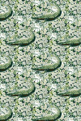 Jordan Connelly Alligator Animal Wallpaper