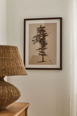 Deciduous Tree Wall Art