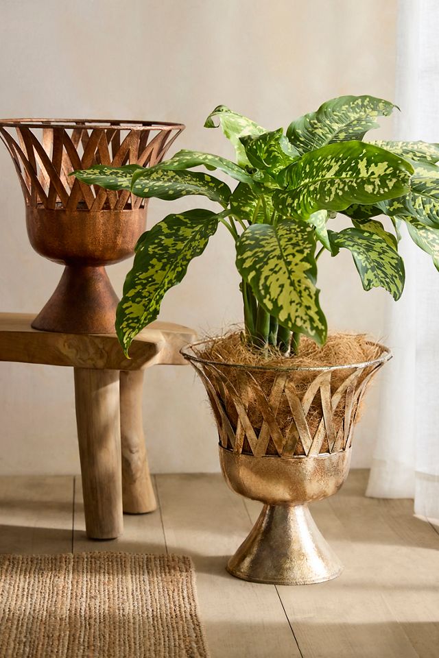 Footed Latticework Urn Planter #2