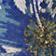 Blue Floral