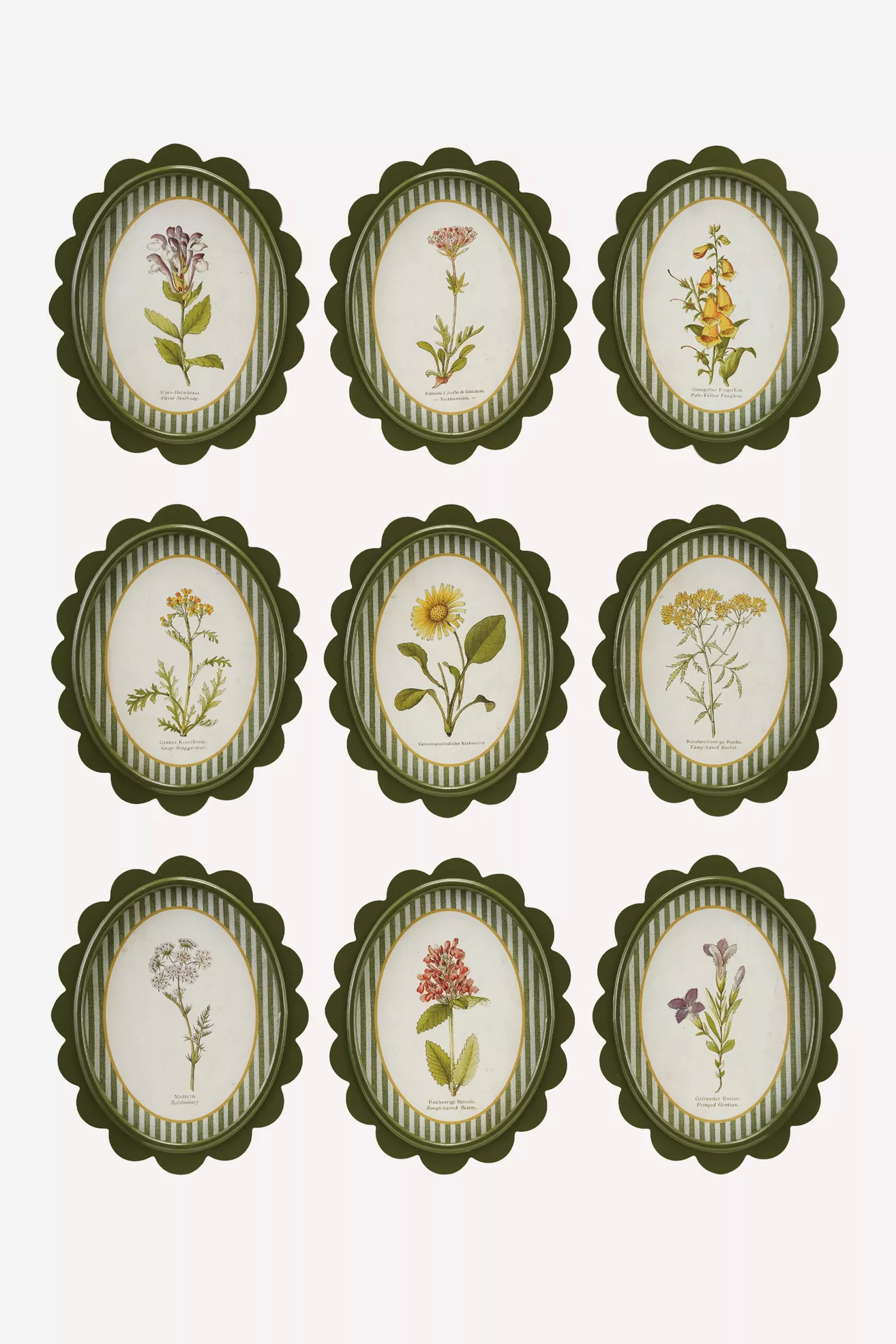9-Piece Oval Wood-Framed Wall Charms