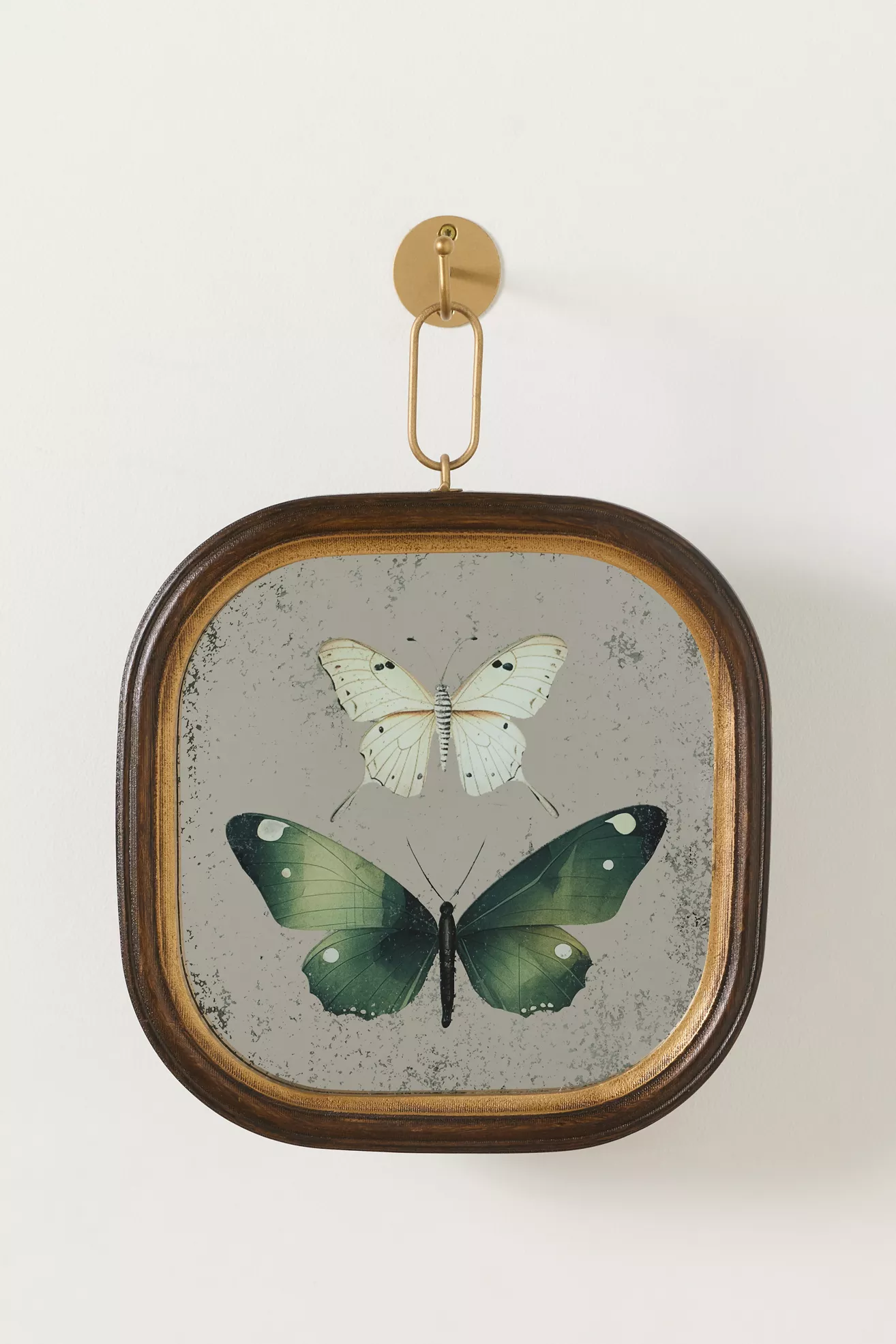 Frame Antique Butterfly Wall Decor