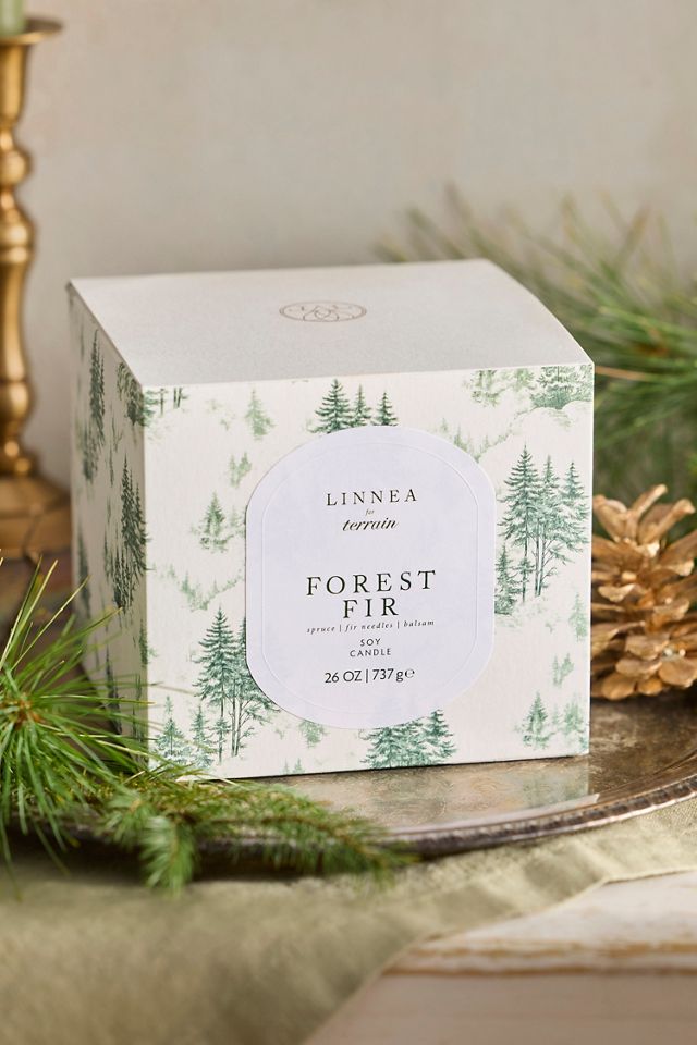 Linnea Grande Candle, Forest Fir #1