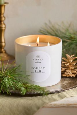 Linnea Grande Candle, Forest Fir