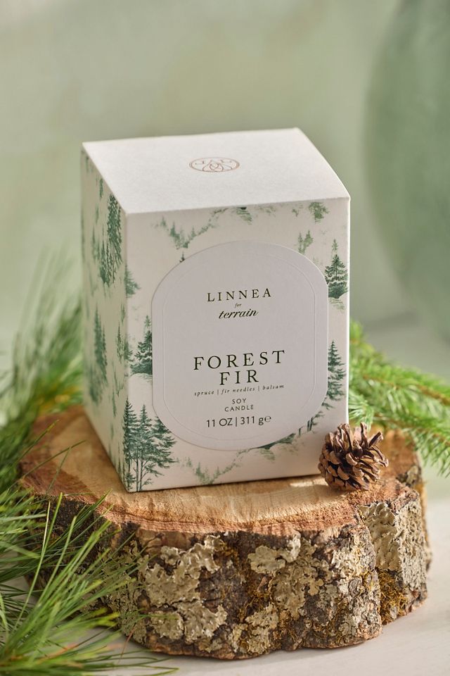 Linnea Candle, Forest Fir #1