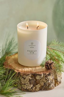 Linnea Candle, Forest Fir