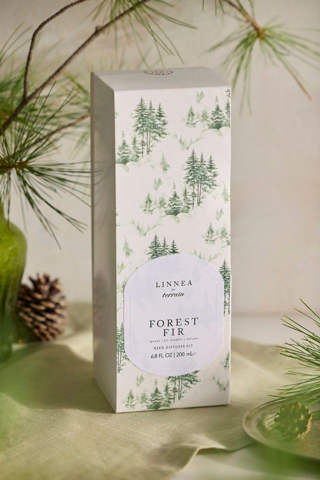 Linnea Diffuser, Forest Fir #1