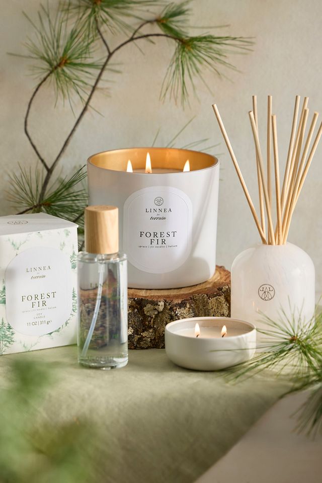 Linnea Diffuser, Forest Fir #2
