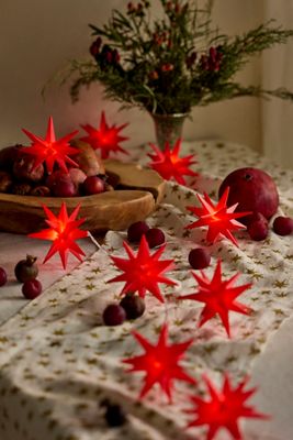 Stargazer Moravian Star String Lights, Red