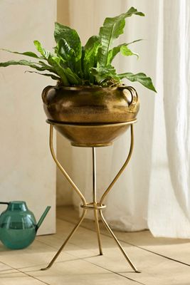 Brass Tripod Plant Stand