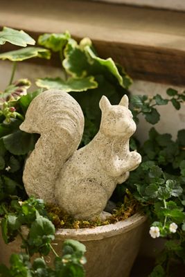 Cement Squirrel