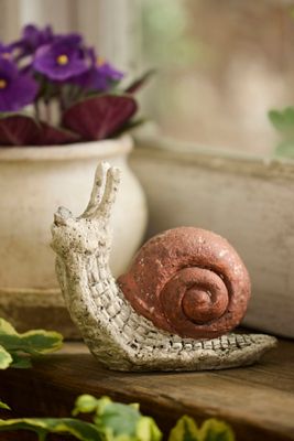 Cement Snail