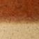 Dark Orange