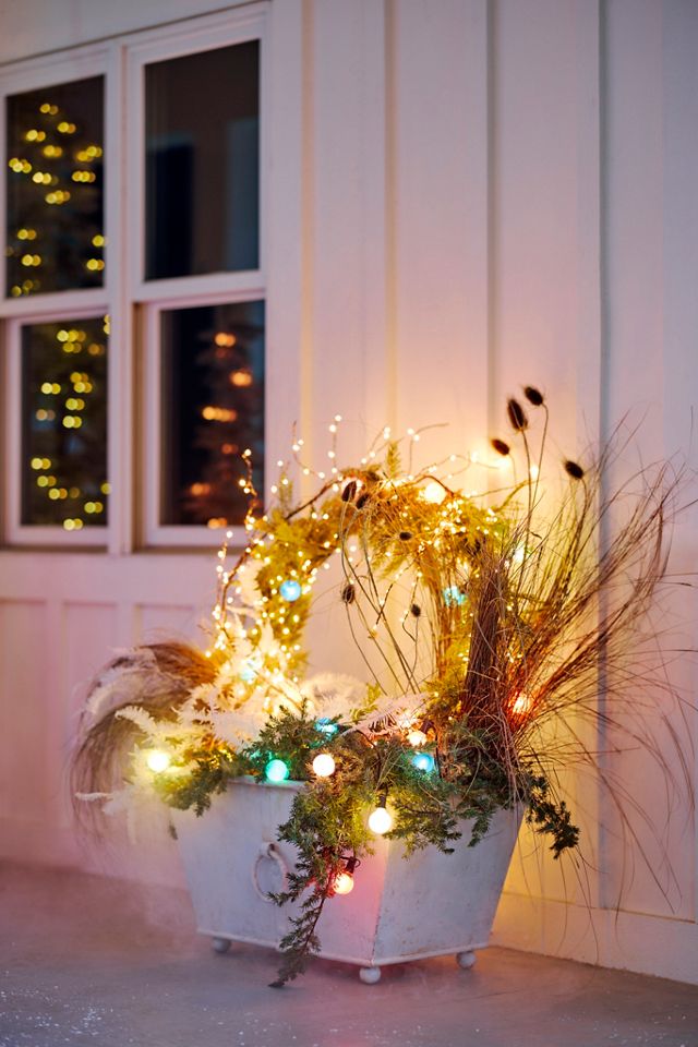 Stargazer Branch Lights #3