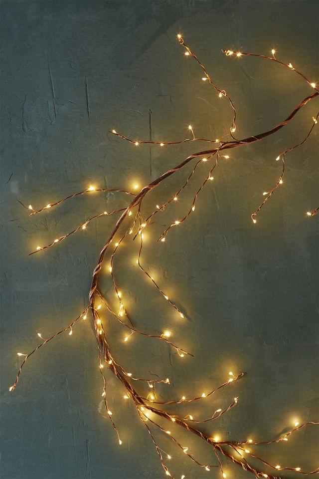 Stargazer Branch Lights #2