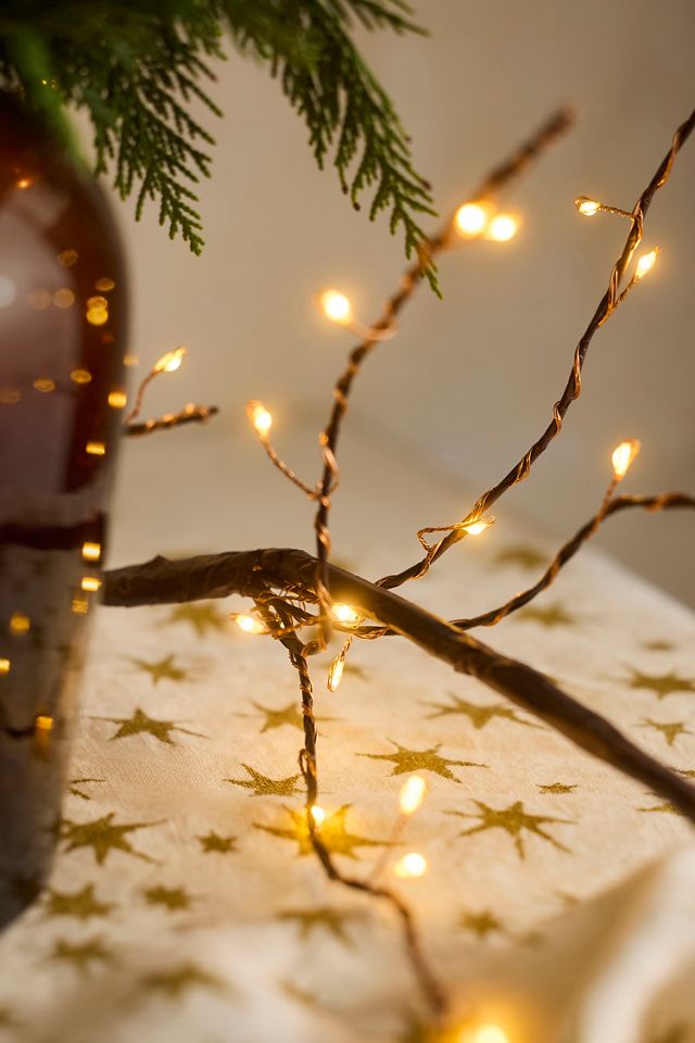 Stargazer Branch Lights #1