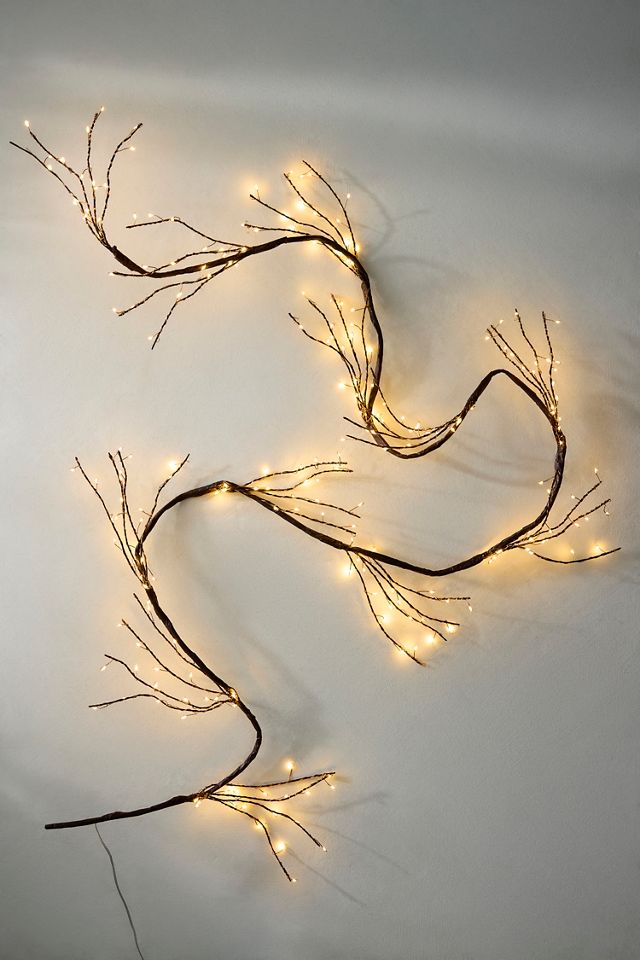 Stargazer Branch Lights #2