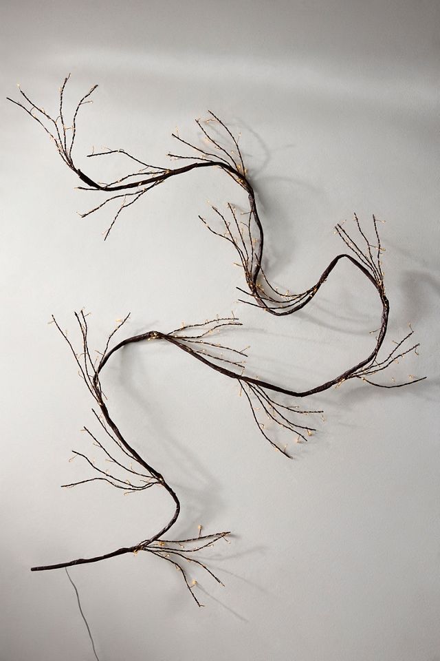 Stargazer Branch Lights #3