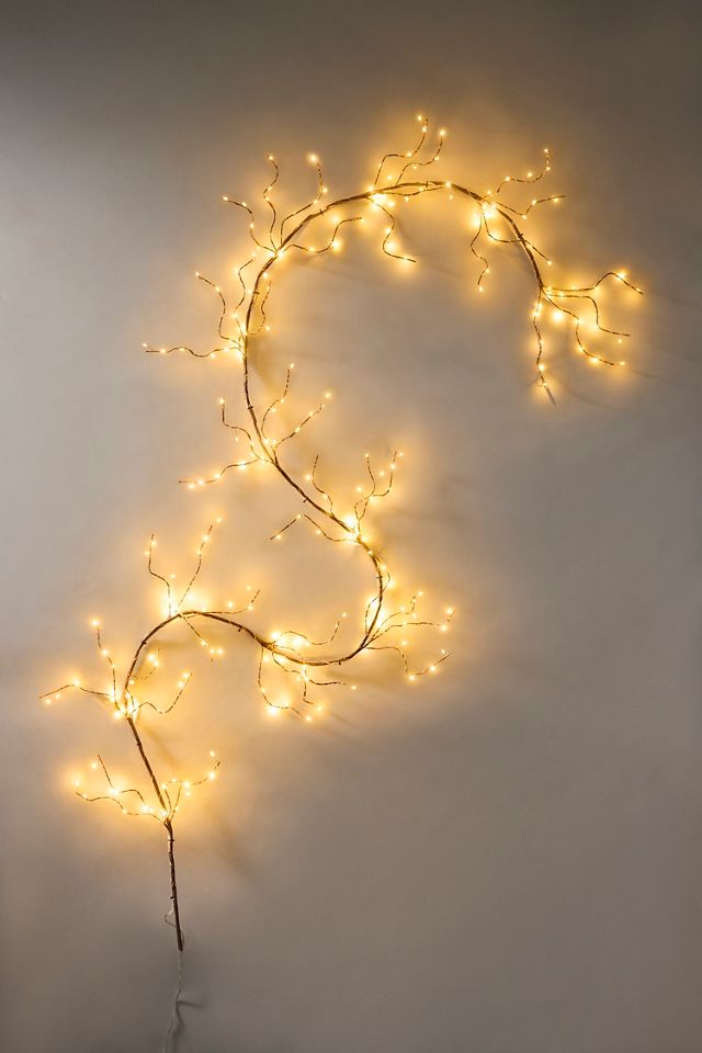 Stargazer Branch Lights #2
