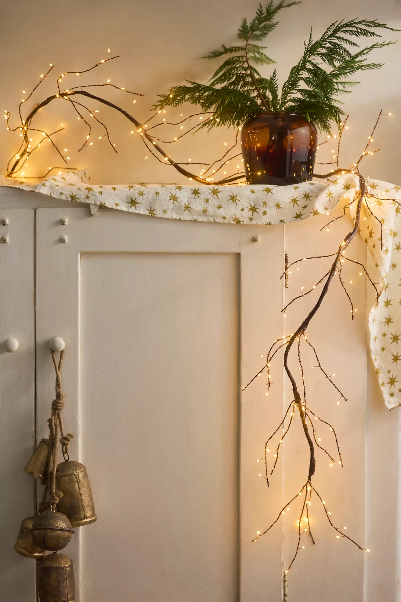 Terrain Stargazer Branch Lights