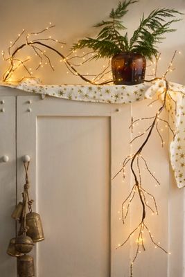 Stargazer Branch Lights