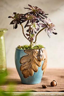 Oak + Acorn Ceramic Planter