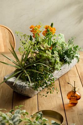 Faux Bois Cement Trough