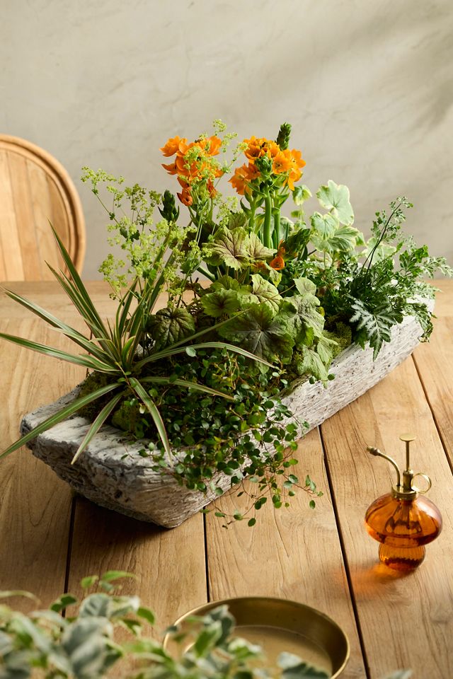 Faux Bois Cement Trough | Anthropologie