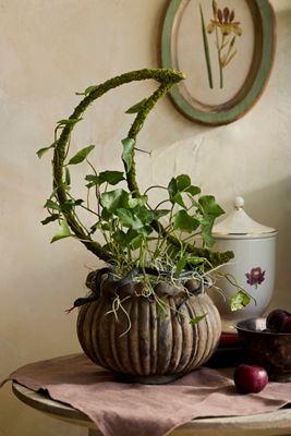 Mossy Crescent Moon Trellis